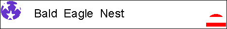 The Bald Eagle Nest - Our doorway to the Internet